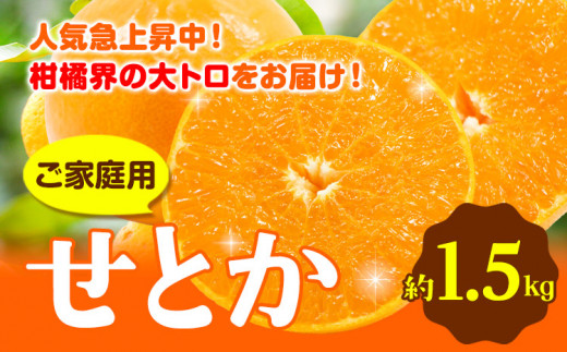 先行予約】 家庭用 せとか 2.5kg+75g（傷み補償分）【柑橘・春みかんの