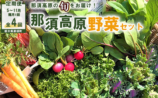 【栃木県那須町】【全4回定期便】那須ブランド 那須高原野菜セット(隔月1回/5月〜11月)| 野菜 お野菜 新鮮 詰め合わせ やさい みずみずしい 美味しい 自然 栃木県 那須町〔P-67〕※北海
