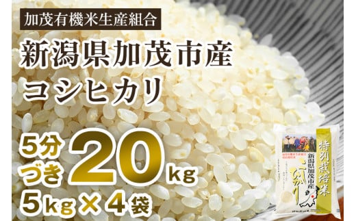 令和6年産新米先行予約】【5分づき】新潟県加茂市産 特別栽培米コシヒカリ 精米 20kg（5kg×4） 従来品種コシヒカリ 加茂有機米生産組合 - 新潟 県加茂市｜ふるさとチョイス - ふるさと納税サイト