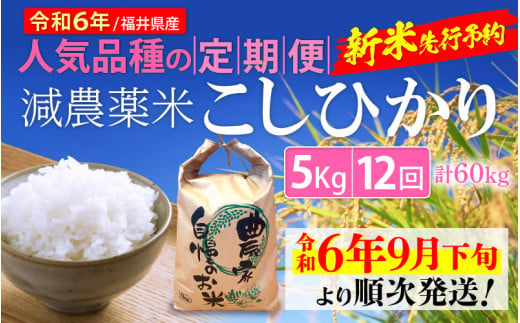 令和6年産新米・先行予約】定期便 ≪12ヶ月連続お届け≫ 減農薬米