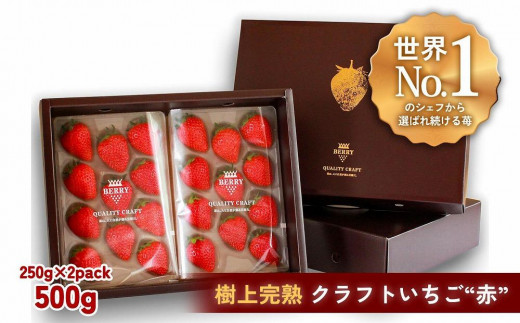 【完熟クラフト苺BERRY】有名シェフ御用達【樹上完熟赤いちご】約500g（出荷2023年12月上旬～2024年5月下旬）