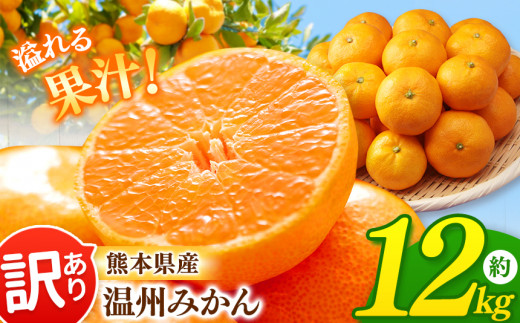 温州みかん 12kg 熊本県産 | 果物 くだもの フルーツ 柑橘 柑橘類 