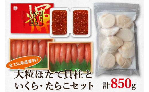 大粒ほたて貝柱250g×1 いくらしょうゆ漬け100g×2 噴火湾産たらこ200g×2