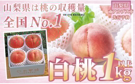 ふるさと納税 南アルプス市 南アルプス市産シャインマスカット3房(約1.8kg) 8月下旬〜9月下旬発送 ふるさと納税 南アルプス市 2025年夏収穫先行予約 山梨県産早期出荷