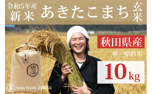 秋田県産 あきたこまち 10kg(10kg×1袋) 【玄米】新米 令和5年産