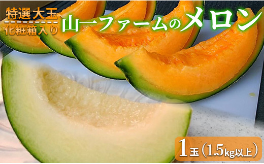 特選大玉 山一ファームメロン1玉（1.5kg以上）化粧箱入り - 茨城県鉾田