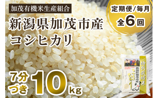 特別栽培米】令和6年産コシヒカリ 10㎏ | Enoki Rice