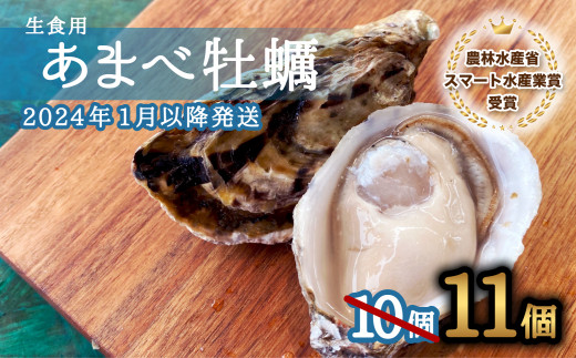 サンプル写真