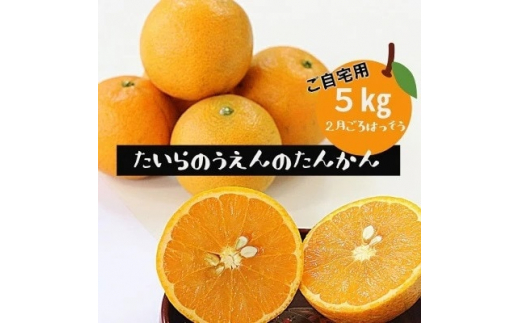 yɐ咬zs\! 2026N2菇 _̂񂩂 p5kgy1406662z