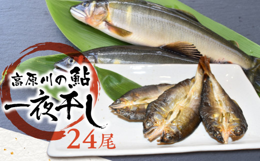 ふるさと納税「鮎 魚介加工品」の人気返礼品・お礼品比較 - 価格.com