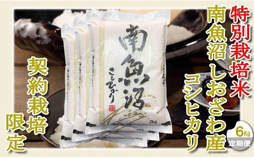 【定期配送６Kg×９ヶ月】特別栽培 生産者限定 南魚沼しおざわ産コシヒカリ