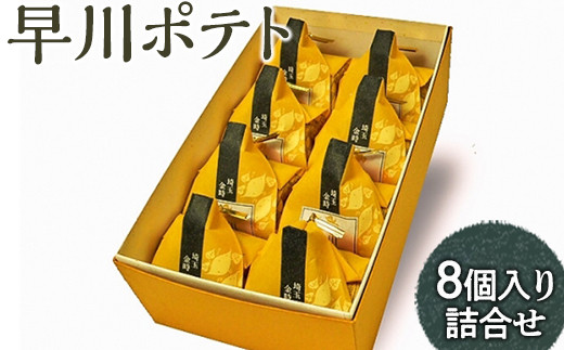 早川ポテト8個入り詰合せ ※離島への配送不可 FAA-161 - 埼玉県三芳町