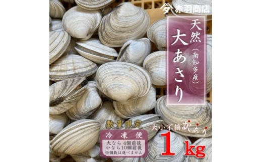 訳あり 南知多町産 活大あさり 約1kg 大なら4個前後 小なら10個前後 不揃い※個数は選べません - 愛知県南知多町｜ふるさとチョイス -  ふるさと納税サイト