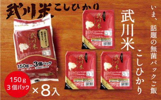 山梨県産 武川米 こしひかり 無菌パック ご飯 150g×24食分（計3.6㎏） 小分け レトルト ご飯パック 山梨県笛吹市｜ふるさとチョイス  ふるさと納税サイト