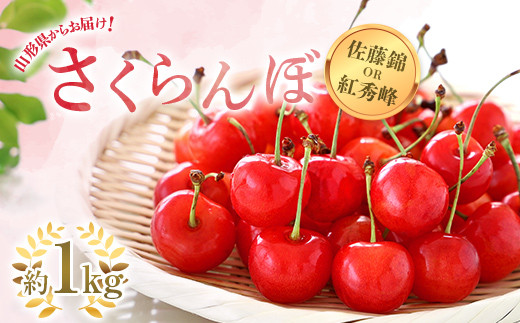 令和7年産先行予約】 さくらんぼ 「佐藤錦または紅秀峰」 約1kg (秀 L以上) バラ詰め 《令和7年6月上旬～発送》 『南陽中央青果市場』  サクランボ 果物 フルーツ 山形県 南陽市 [1204] - 山形県南陽市｜ふるさとチョイス - ふるさと納税サイト