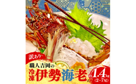 訳あり】 職人吉岡 の 冷凍 伊勢海老 約 1.4kg 2 〜 7尾 ( サイズ混合 えび エビ いせえび 高級 鮮魚 イセエビ 海鮮 魚介 刺身  焼き物 汁物 ギフト 贈答 贈り物 祝い 歳暮 中元 高知 天然 海の幸