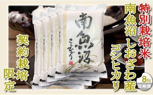 【定期配送８Kg×３ヶ月】特別栽培 生産者限定 南魚沼しおざわ産コシヒカリ