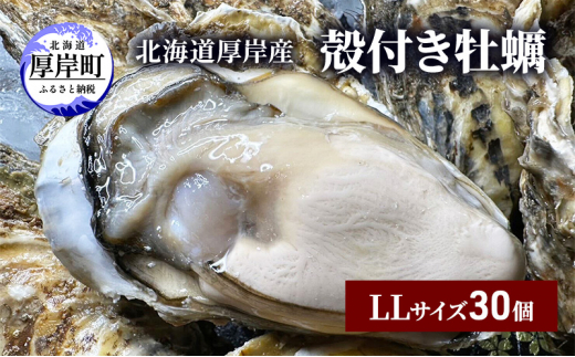 北海道 厚岸産 殻付き 牡蠣 LLサイズ 30個 [№5863-1021]