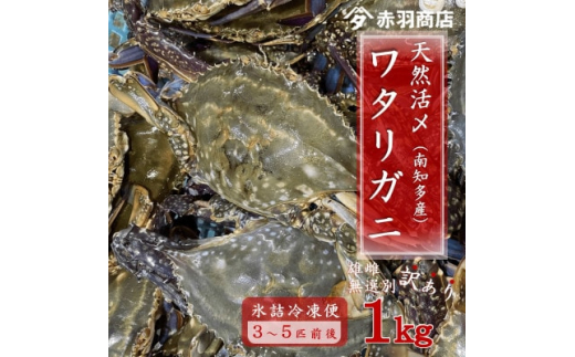 南知多町産 活〆渡り蟹 雄雌無選別 約1kg 200～400g×3匹～5匹 氷〆