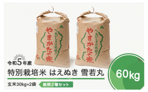 ふるさと納税 山形県 大石田町 令和6年4月上旬発送 つや姫 雪若丸 各5kg 計10kg 精米 令和5年産 令和6年4月上旬 発送 ふるさと納税 山形県 大石田町 令和6年4月上旬発送 つや姫 雪若丸 各5kg 計10kg 精米 令和5年産 令和6年4月上旬 発送