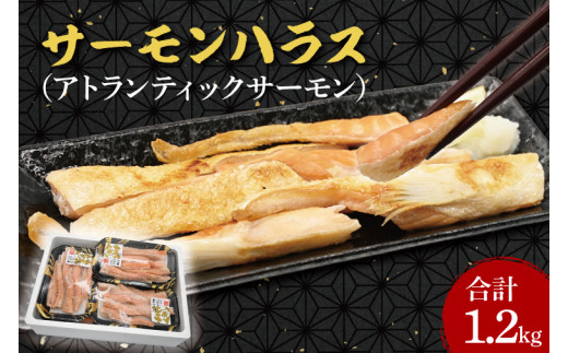 サーモン ハラス 1.2kg(200ｇ×6p) アトランティックサーモン 鮭 鮭