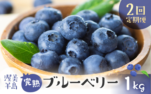 ★完熟生ブルーベリー1kg★ 山形の完熟生ブルーベリー1kg（500×2パック）[箱入]