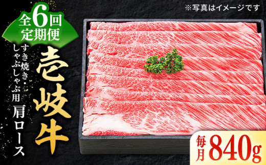 y茧szyS6ցz I  [X 840giĂEԂԁjsstyzz[JDL053]   ؂ ؂ Ă Ԃ [X Ԑg  