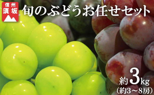 サンプル写真