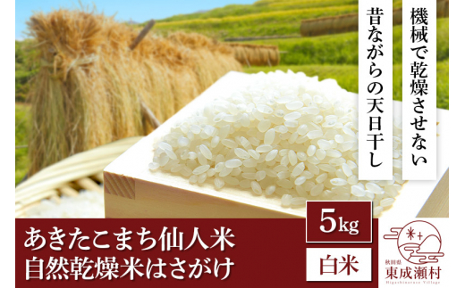 令和5年産 あきたこまち「仙人米」白米 5kg 自然乾燥米 はさがけ 秋田