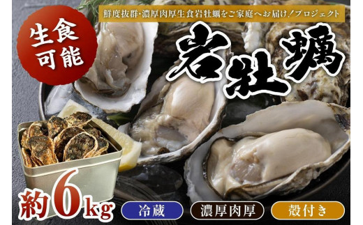 牡蠣小屋直送／殻付き牡蠣5kg 約50個 水揚げ殻付き牡蠣（生牡蠣・加熱