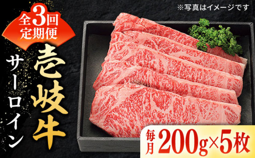 y茧szyS3ցz I  T[CXe[L 200g×5sstyzz[JDL085]   T[C Xe[L T[CXe[L Ԑg ē Ă  198000 198