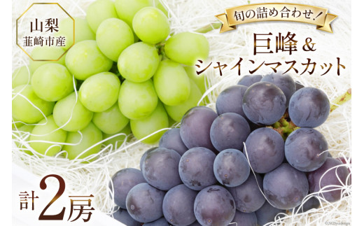 山梨県産 最高級ブランド 中屋のぶどう シャインマスカット 8房セット 総合