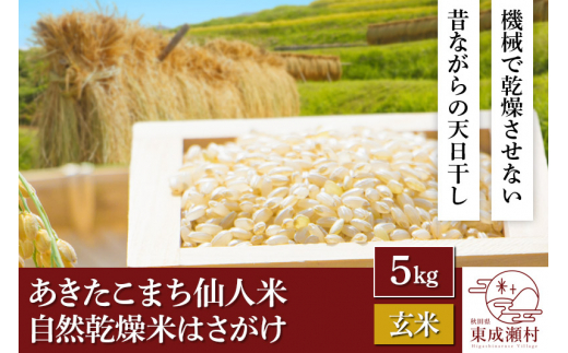 正規品新品 令和5年産 あきたこまち「仙人米」白米 5kg 自然乾燥米 は