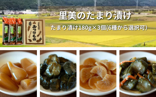 漬物 種類指定可】地場産の野菜使用 里美のたまり漬け(180g×3個/ 胡瓜 漬物 種類指定可】地場産の野菜使用 里美のたまり漬け(180g×3個/ 胡瓜