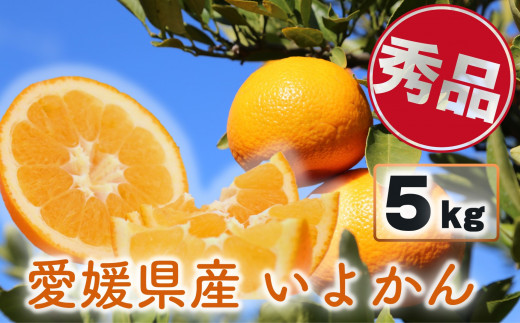 来年度先行予約品】 いよかん 伊予柑 5kg 愛媛県産 秀品 【2024年12月