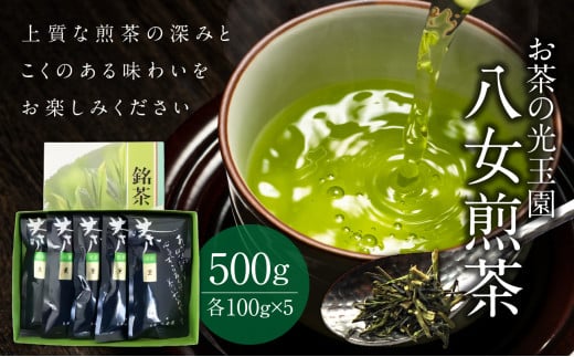 お茶の光玉園】八女煎茶 100g×5本セット お茶 煎茶 緑茶 茶葉