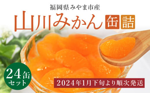 A4 【2024年1月下旬から順次発送】 山川みかん缶詰 - 福岡県みやま