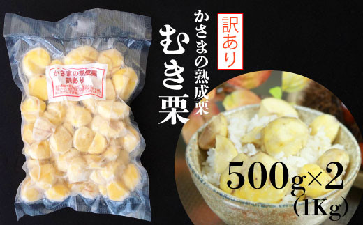 かさまの熟成栗　訳あり むき栗　５００ｇ×２