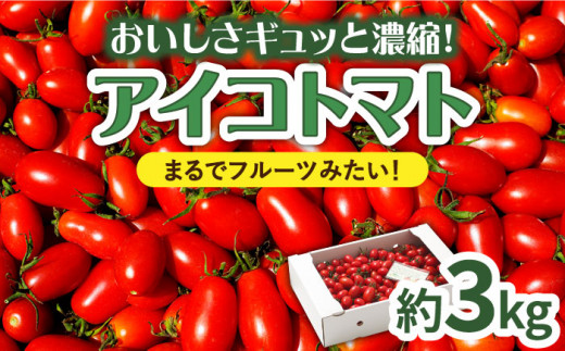 【完熟ミニトマト】アイコトマト 約3kg 南島原市 / とまと トマト 野菜 / 長崎県農産品流通合同会社 [SCB052]