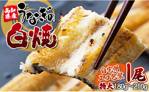 吉川水産 高知県産うなぎの白焼き 中サイズ(120～150g)×3尾 タレ付き