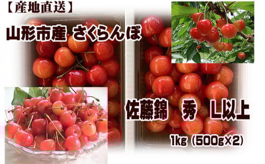 yR`R`szς R`Y   Lȏ 1kg (500g×2)  yߘa8NYs\zFU22-938  ʕ t[c R` R` R`s 2026NY