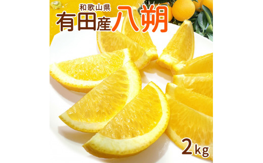 ya̎R󒬁zDI6059_a̎RLcY  2kg M`2LTCY