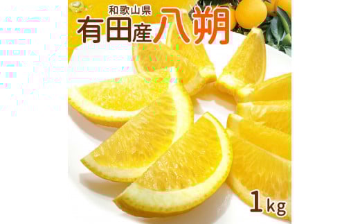 ya̎R󒬁zDI6058_a̎RLcY  1kg M`2LTCY