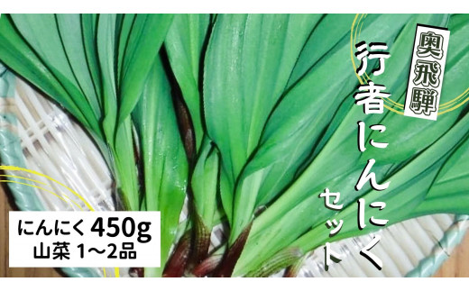 生行者ニンニク 450g 山菜【4月下旬～5月初旬発送】 syun123 - 岐阜県