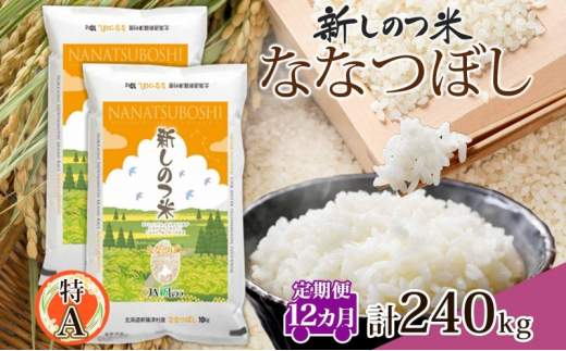 北海道 定期便 12ヵ月 連続 全12回 R5年産 北海道産 ななつぼし 10kg 2