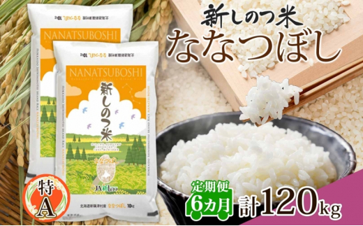 北海道 定期便 6ヵ月 連続 全6回 R5年産 北海道産 ななつぼし 10kg 2袋