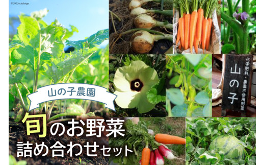 山の子農園の化学肥料・農薬をつかっていない旬のお野菜詰め合わせ