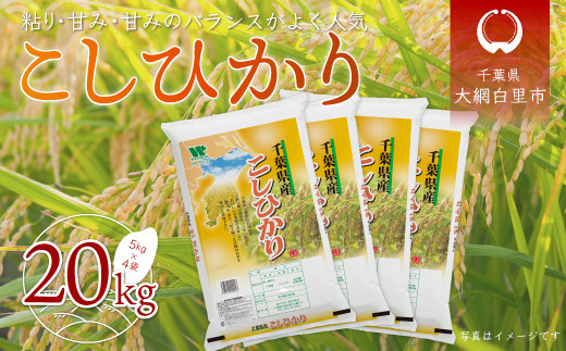 千葉県産コシヒカリ 20kg米/穀物