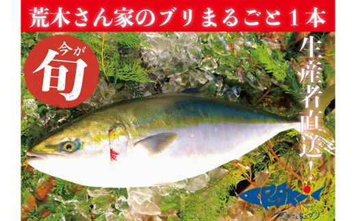 感染者数が人口10万人あたり100人を超えたまち』 宿毛はコロナなんかに