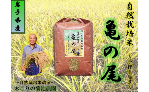 y茧kszߘa7NY\tyʌz؂̋er_ R͔|āyT̔z10kg@   ͂ ɂ   茧 ks J0030